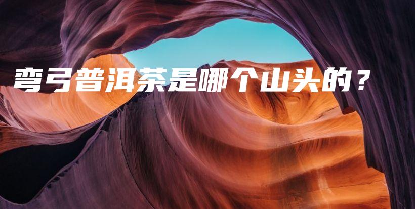 彎弓普洱茶是哪個山頭的？插圖