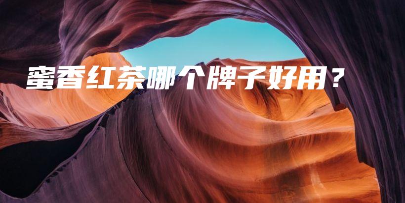 蜜香紅茶哪個牌子好用？插圖