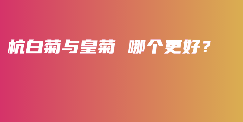 杭白菊與皇菊 哪個(gè)更好？插圖