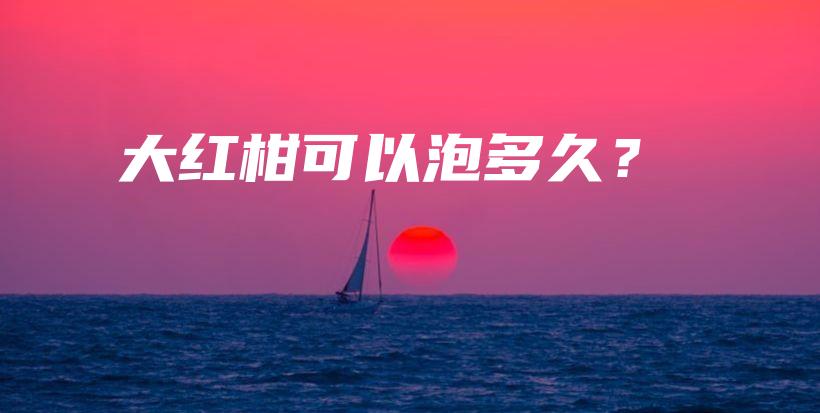 大紅柑可以泡多久？插圖