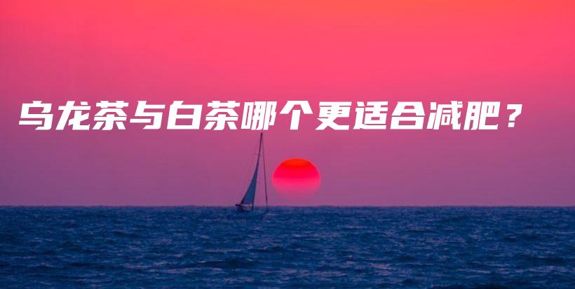 烏龍茶與白茶哪個更適合減肥？插圖