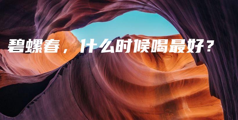 碧螺春，什么時候喝最好？插圖