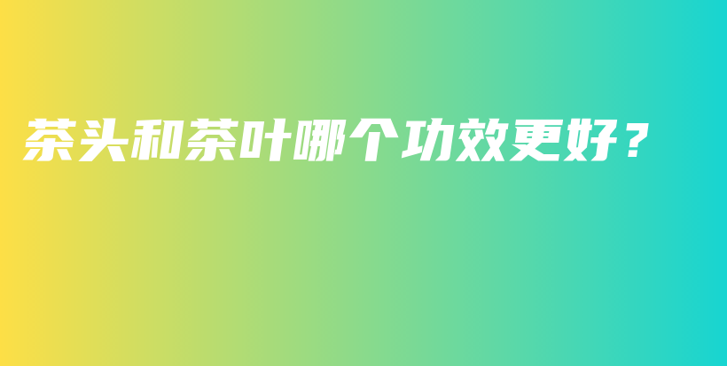 茶頭和茶葉哪個(gè)功效更好？插圖