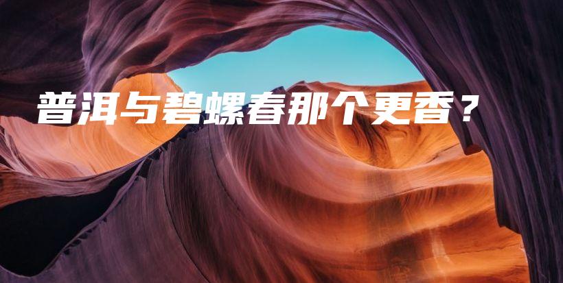 普洱與碧螺春那個(gè)更香？插圖