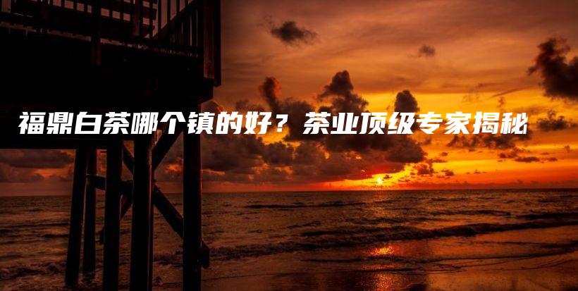 福鼎白茶哪個鎮(zhèn)的好？茶業(yè)頂級專家揭秘插圖
