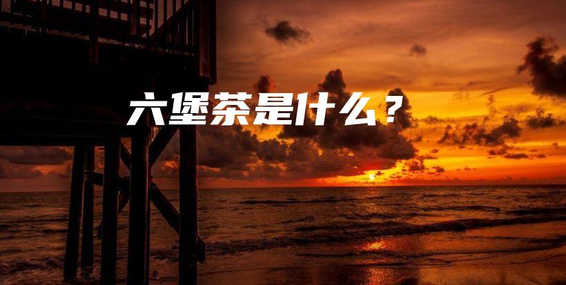 六堡茶是什么？插圖