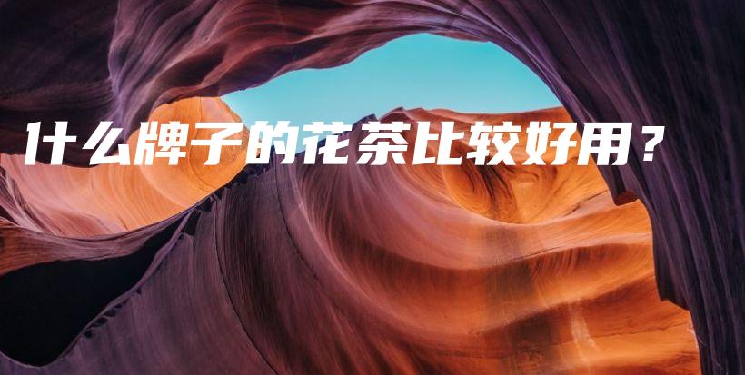 什么牌子的花茶比較好用？插圖