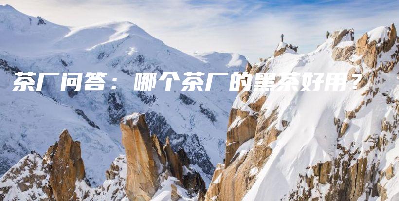 茶廠問(wèn)答：哪個(gè)茶廠的黑茶好用？插圖