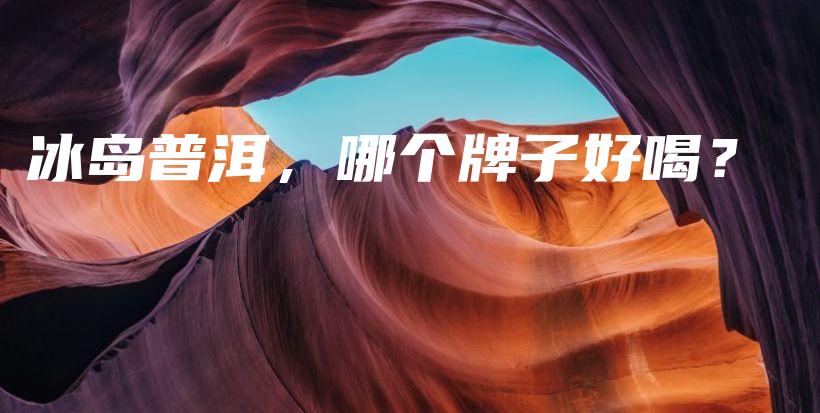 冰島普洱，哪個牌子好喝？插圖