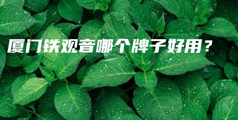 廈門鐵觀音哪個牌子好用？插圖