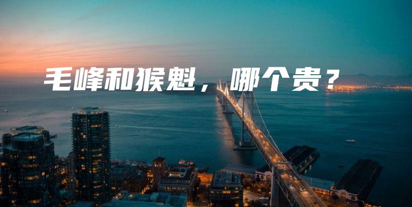 毛峰和猴魁，哪個貴？插圖