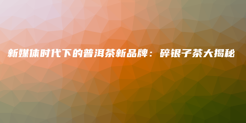 新媒體時代下的普洱茶新品牌：碎銀子茶大揭秘插圖