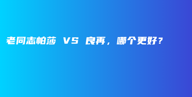 老同志帕莎 VS 良再，哪個更好？插圖