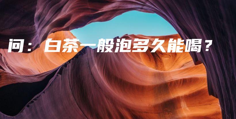 問：白茶一般泡多久能喝？插圖