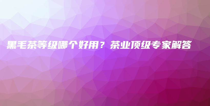 黑毛茶等級哪個好用？茶業(yè)頂級專家解答插圖