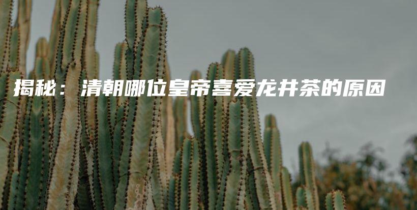揭秘：清朝哪位皇帝喜愛龍井茶的原因插圖
