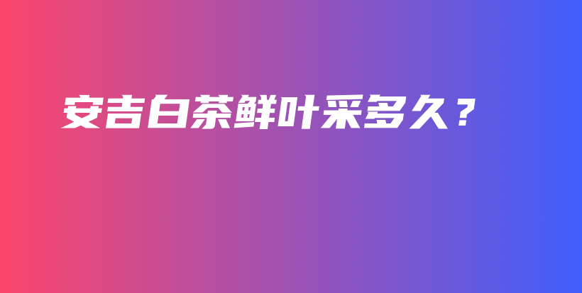 安吉白茶鮮葉采多久？插圖