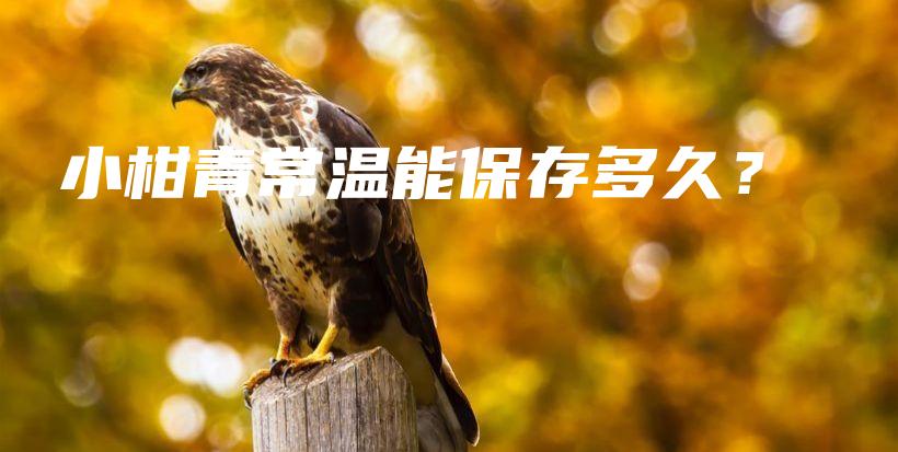 小柑青常溫能保存多久？插圖