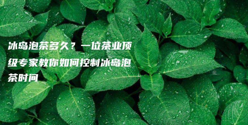 冰島泡茶多久？一位茶業(yè)頂級(jí)專家教你如何控制冰島泡茶時(shí)間插圖