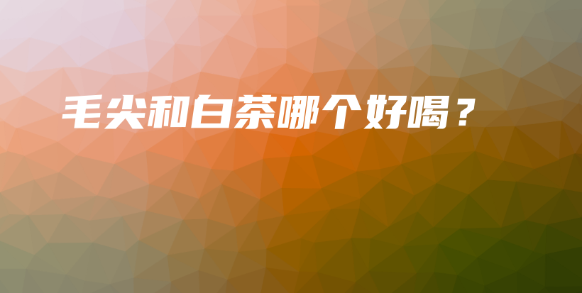 毛尖和白茶哪個(gè)好喝？插圖
