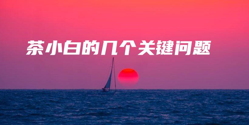 茶小白的幾個(gè)關(guān)鍵問(wèn)題插圖