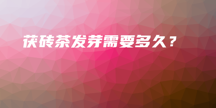 茯磚茶發(fā)芽需要多久？插圖