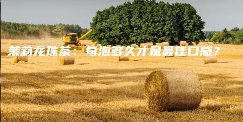茉莉龍珠茶：每泡多久才是最佳口感？插圖