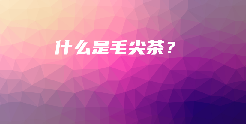 什么是毛尖茶？插圖
