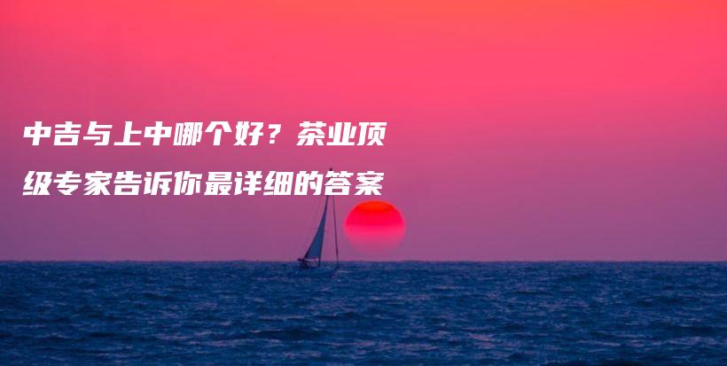 中吉與上中哪個好？茶業(yè)頂級專家告訴你最詳細的答案插圖