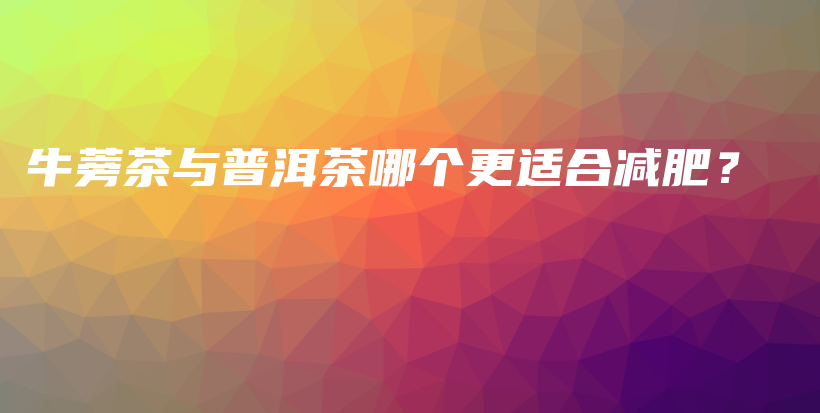 牛蒡茶與普洱茶哪個(gè)更適合減肥？插圖