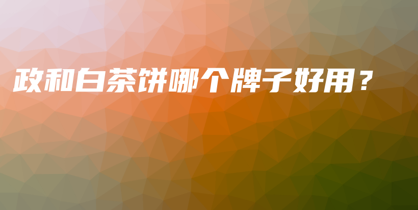 政和白茶餅?zāi)膫€牌子好用？插圖