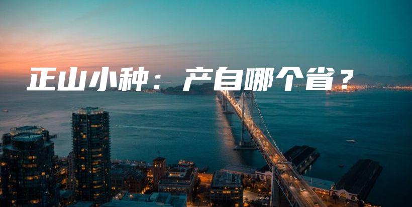 正山小種：產(chǎn)自哪個??？插圖