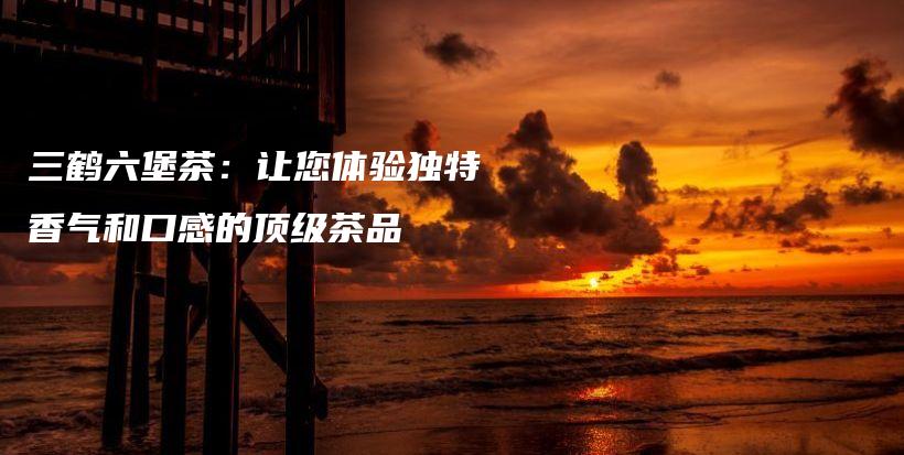 三鶴六堡茶：讓您體驗(yàn)獨(dú)特香氣和口感的頂級(jí)茶品插圖