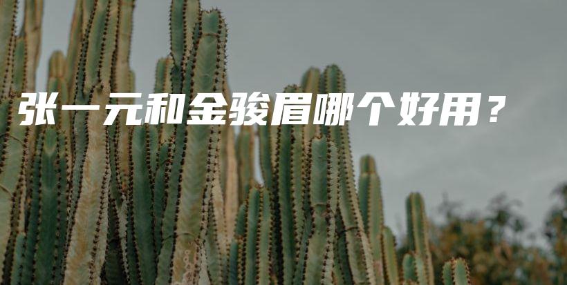 張一元和金駿眉哪個好用？插圖