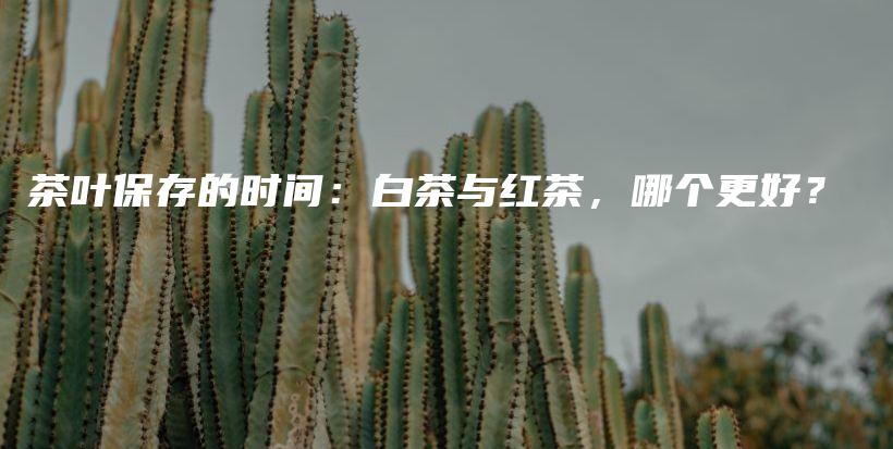 茶葉保存的時間：白茶與紅茶，哪個更好？插圖