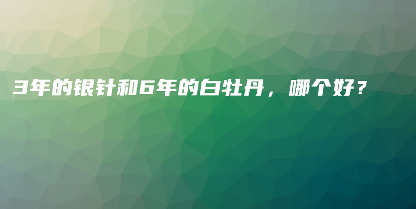 3年的銀針和6年的白牡丹，哪個好？插圖