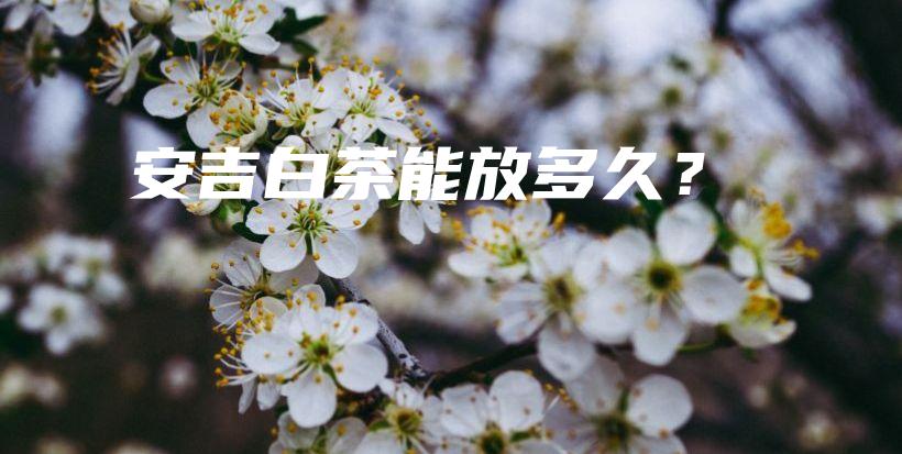 安吉白茶能放多久？插圖