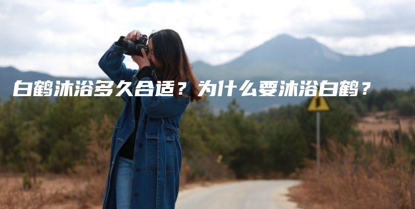 白鶴沐浴多久合適？為什么要沐浴白鶴？插圖
