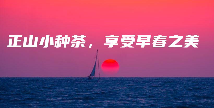 正山小種茶，享受早春之美插圖