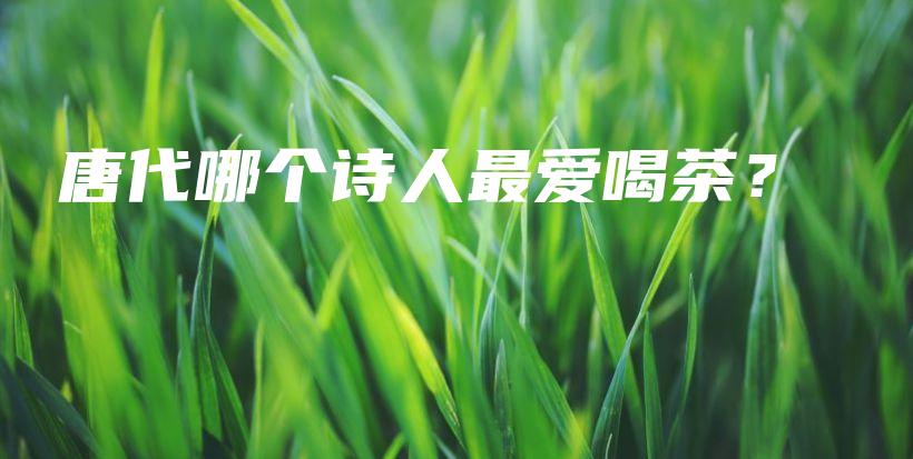 唐代哪個(gè)詩人最愛喝茶？插圖