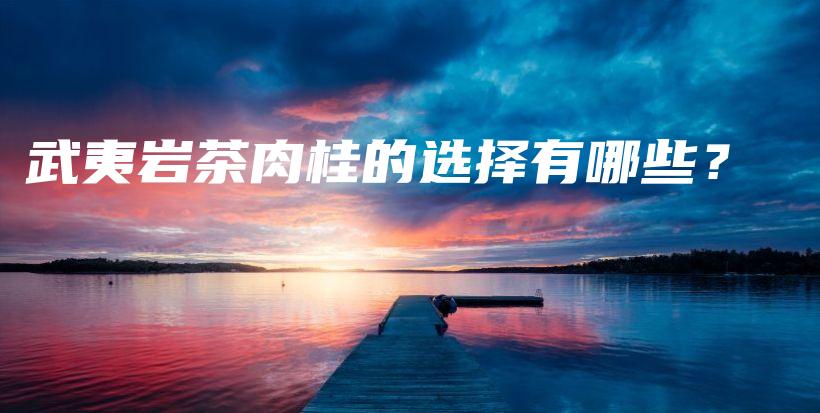 武夷巖茶肉桂的選擇有哪些？插圖