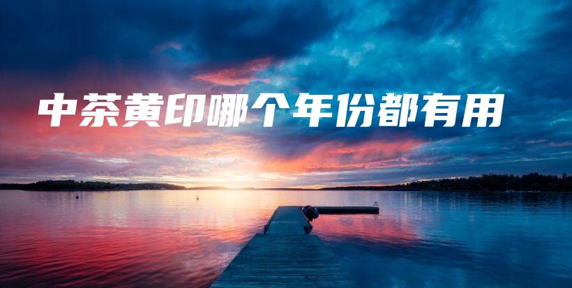 中茶黃印哪個年份都有用插圖