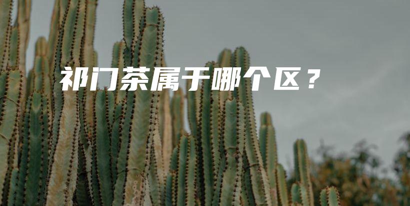 祁門茶屬于哪個區(qū)？插圖