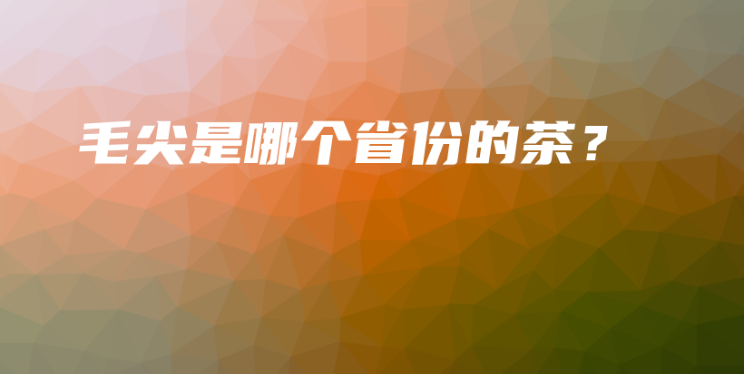 毛尖是哪個省份的茶？插圖