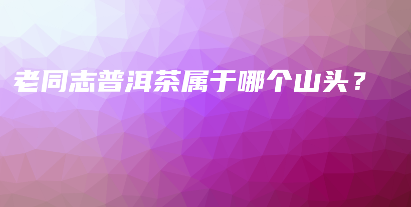 老同志普洱茶屬于哪個山頭？插圖