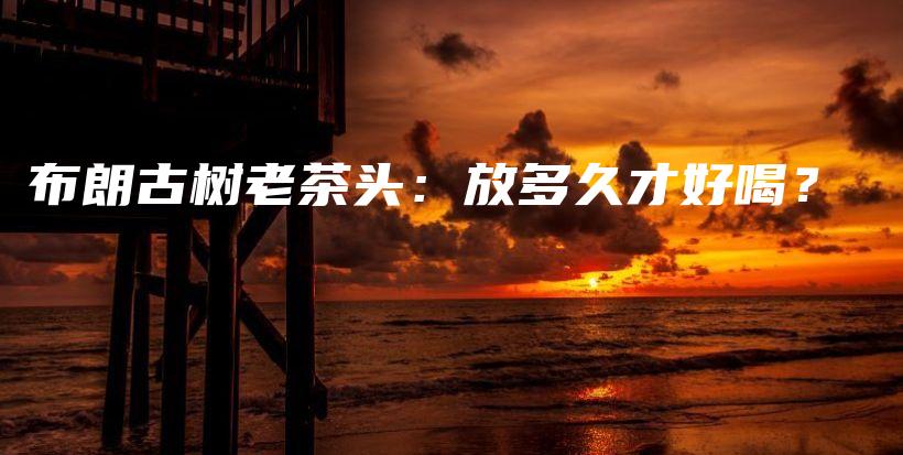 布朗古樹老茶頭：放多久才好喝？插圖