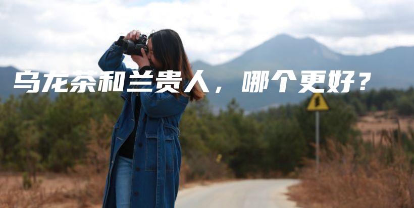 烏龍茶和蘭貴人，哪個更好？插圖