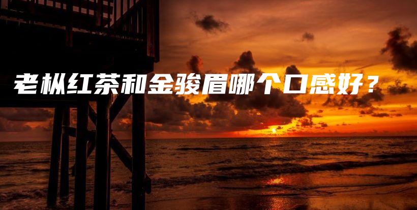 老樅紅茶和金駿眉哪個口感好？插圖
