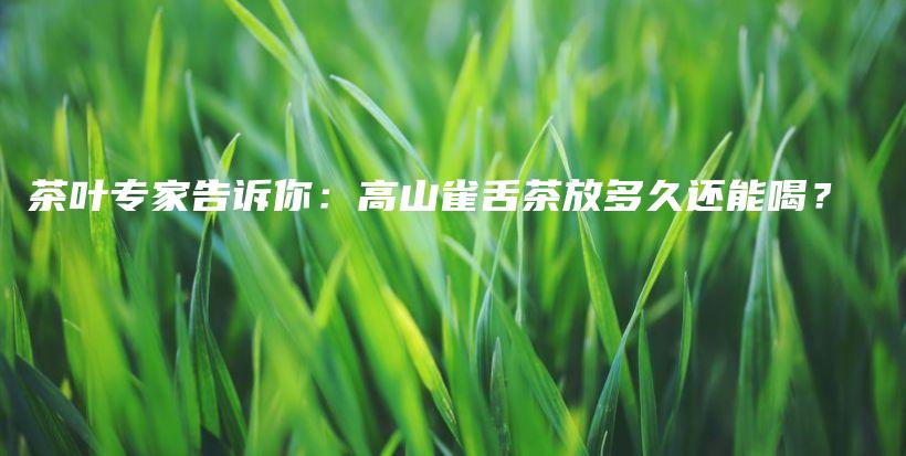 茶葉專家告訴你：高山雀舌茶放多久還能喝？插圖