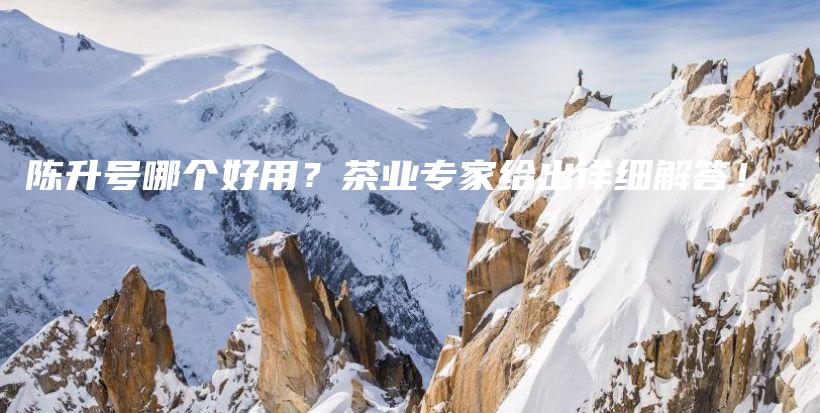 陳升號(hào)哪個(gè)好用？茶業(yè)專(zhuān)家給出詳細(xì)解答！插圖